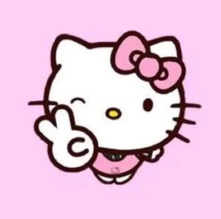 aesthetic hello kitty pfp