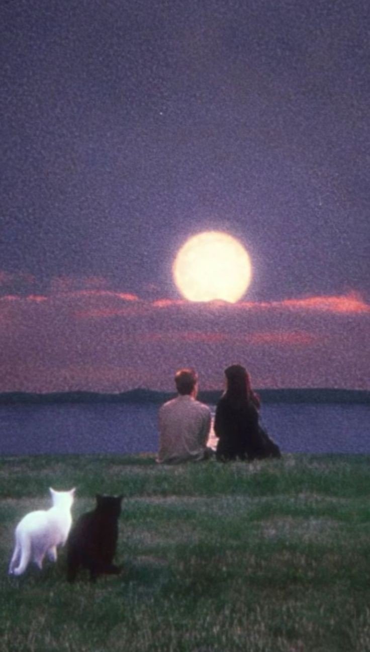 aesthetic matching pfp