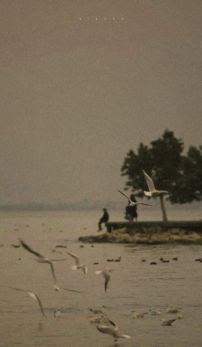 aesthetic pfp aesthetic