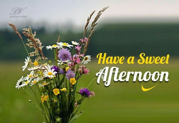 ai good afternoon images ai good afternoon images