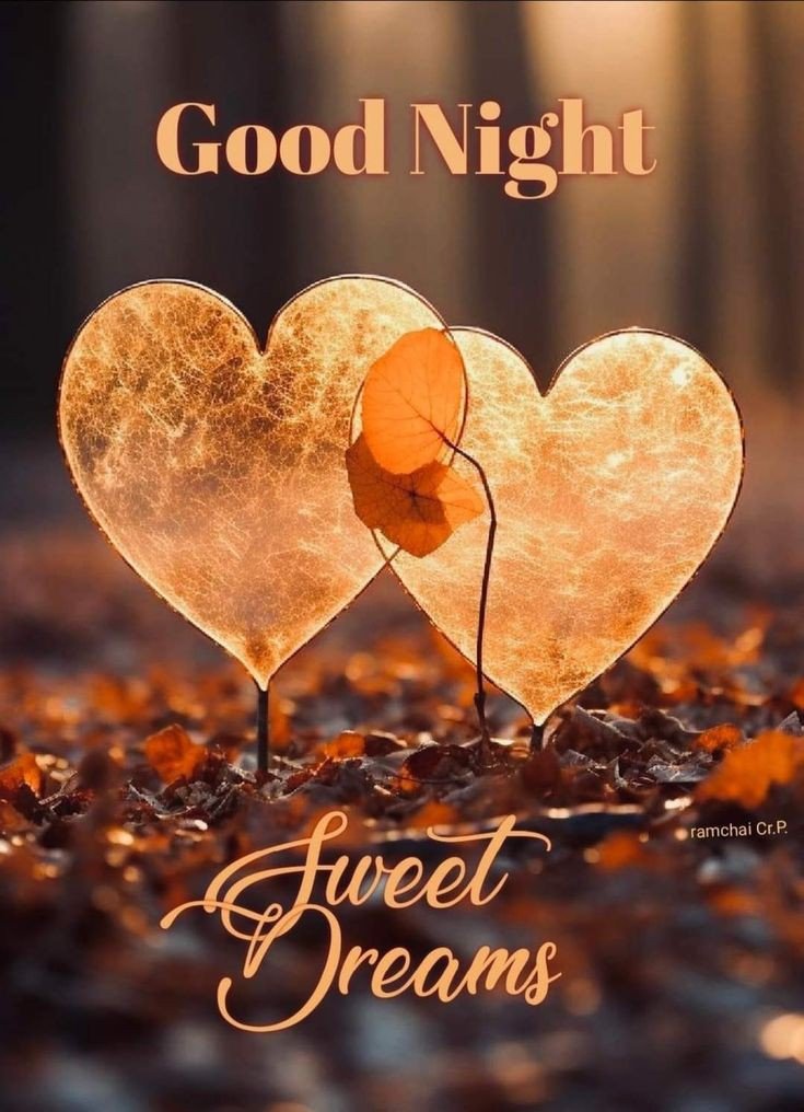 all good night photo all good night photo