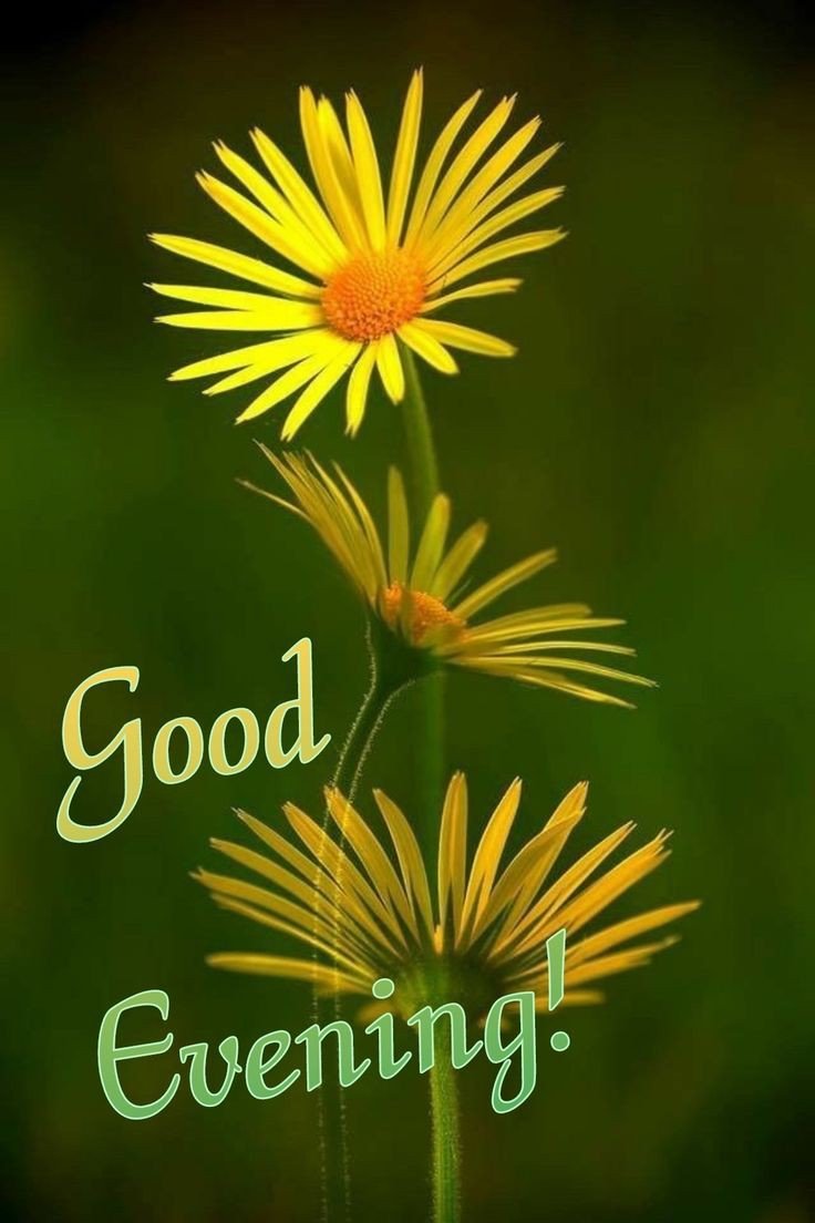 amazing good evening images amazing good evening images