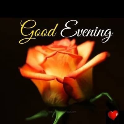 amazing good evening images amazing good evening images