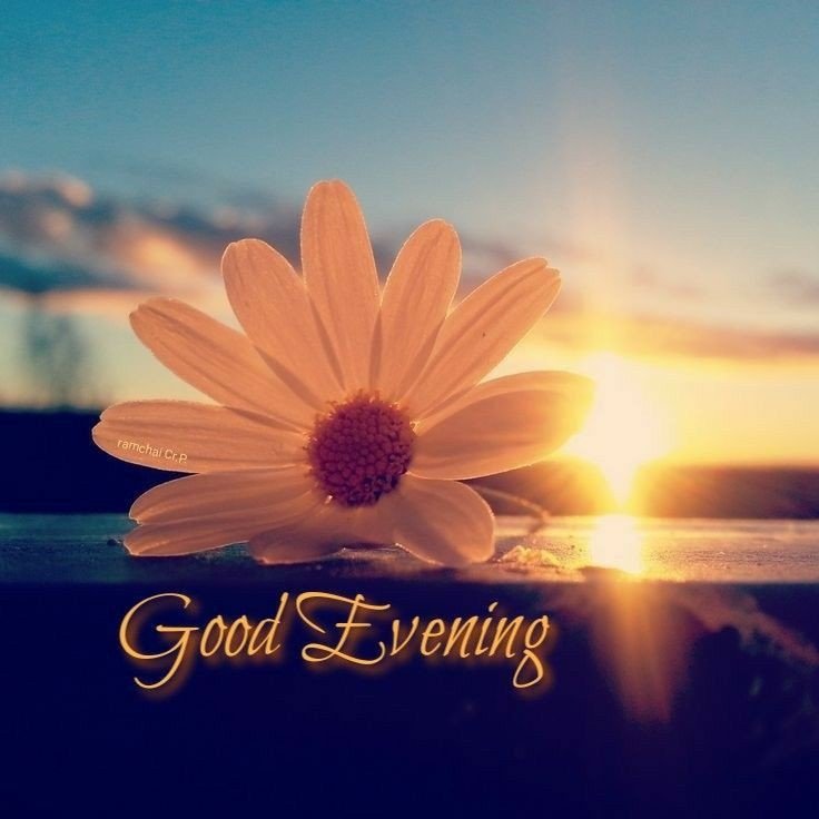amazing good evening images amazing good evening images