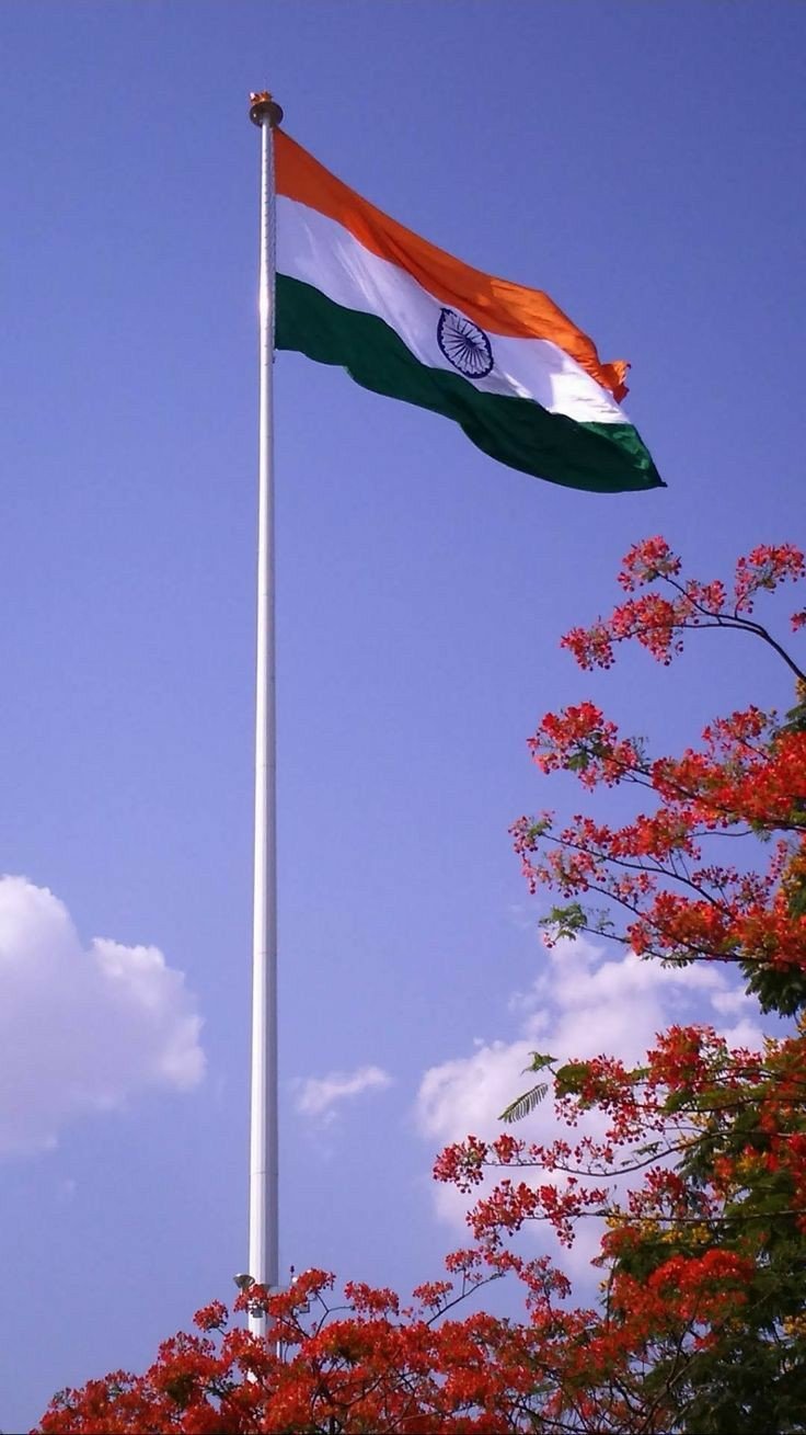ambedkar tiranga dp