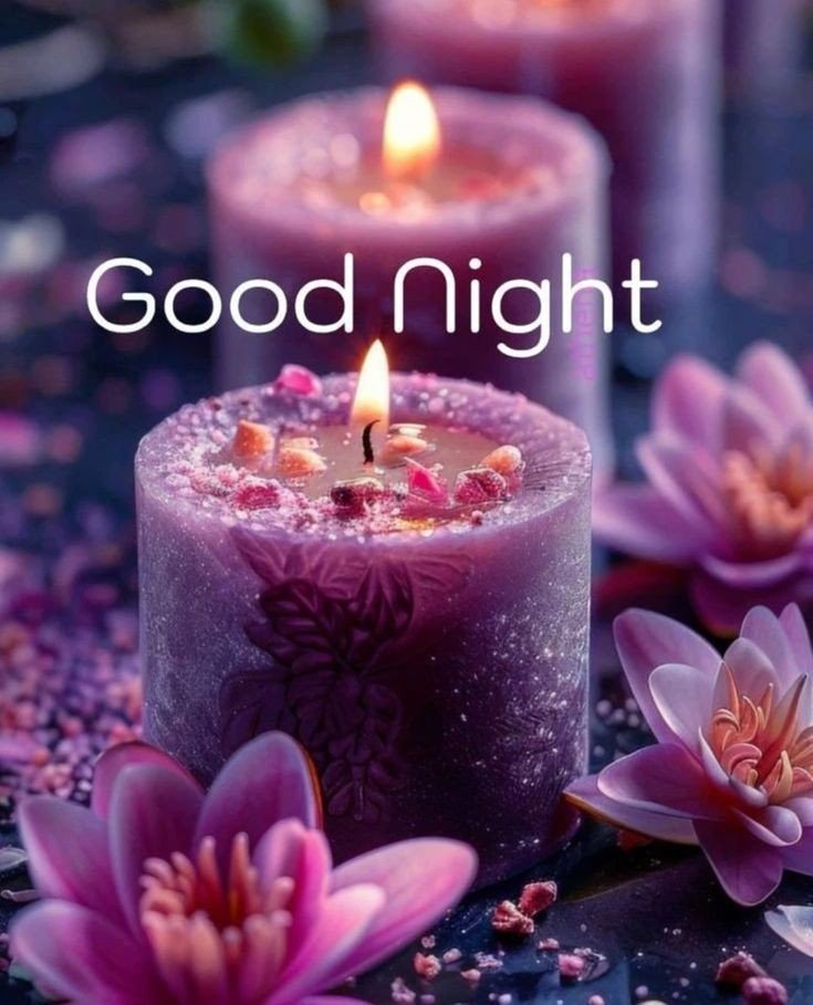 animated beautiful good night images animated beautiful good night images