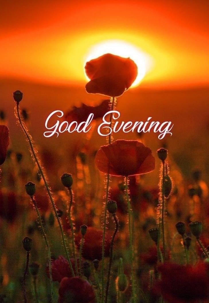 animated good evening images animated good evening images