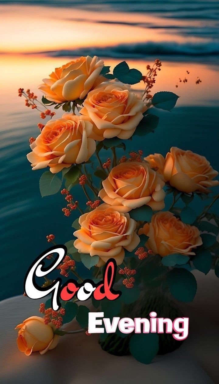 animated good evening images animated good evening images