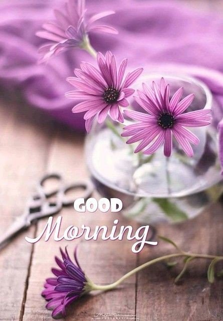 assalamualaikum good morning images with dua assalamualaikum good morning images with dua