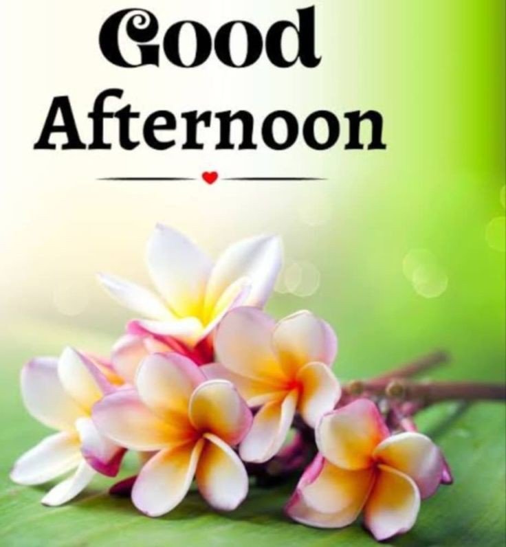 autumn good afternoon images autumn good afternoon images