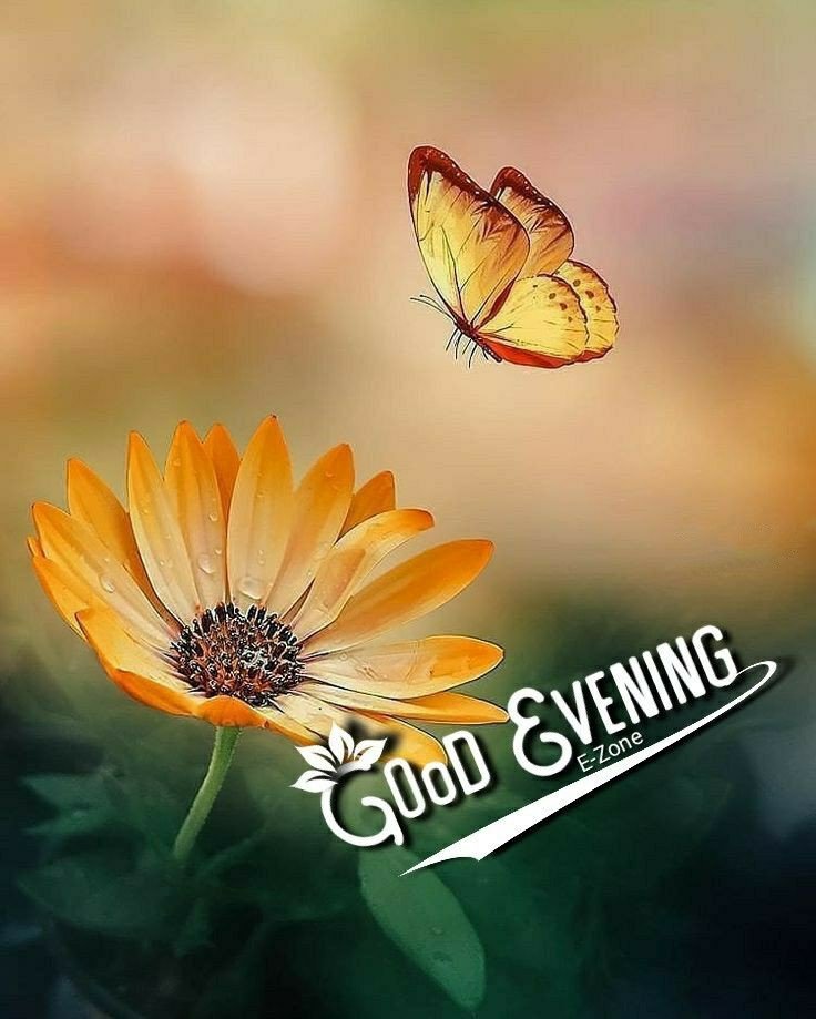 awesome good evening images awesome good evening images