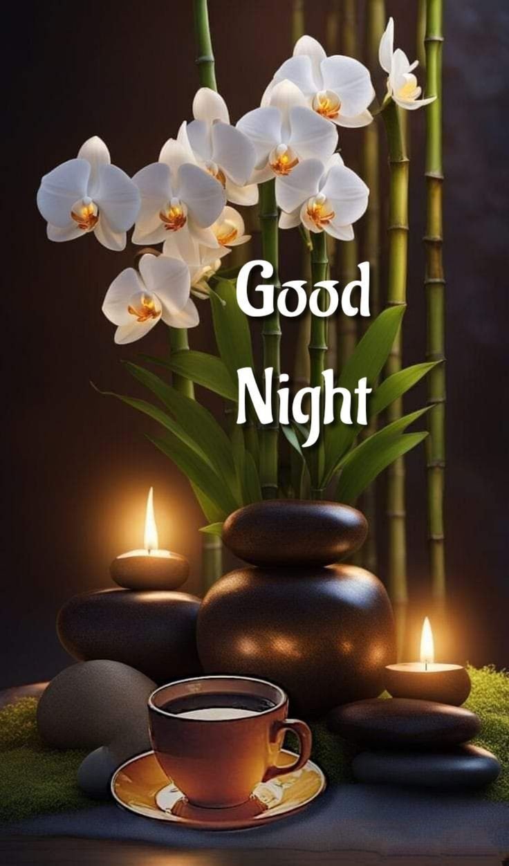 baby good night photo baby good night photo