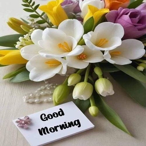 beautiful and lovely good morning images download free beautiful and lovely good morning images download free