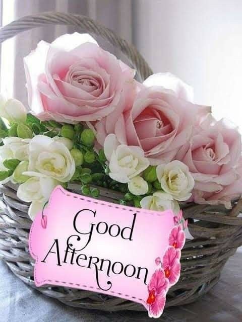 beautiful good afternoon photo beautiful good afternoon photo