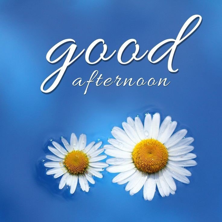 beautiful good afternoon beautiful good afternoon
