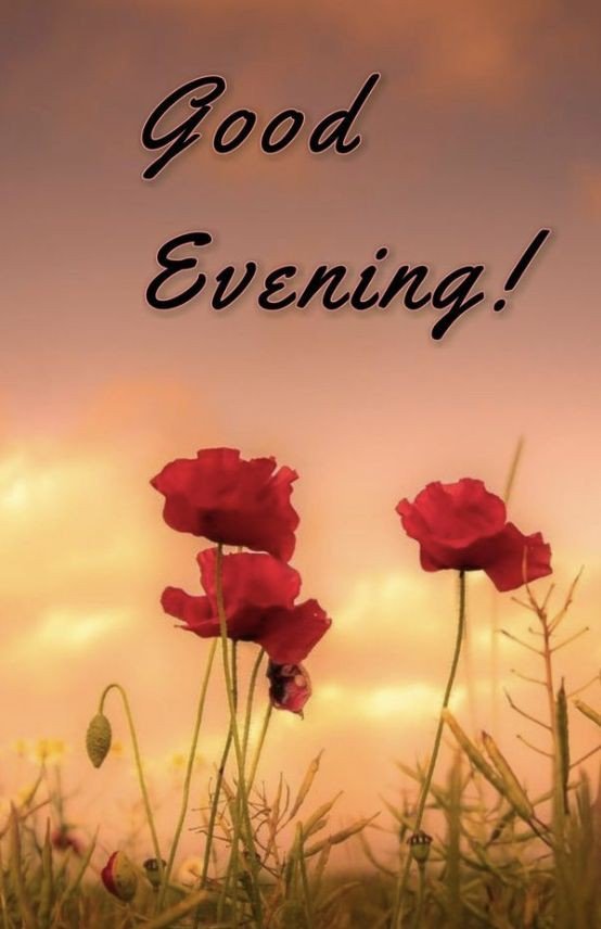 beautiful good evening images with quotes beautiful good evening images with quotes