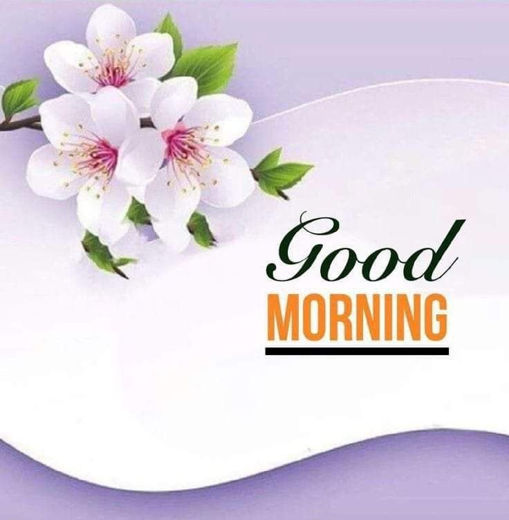 beautiful good morning images beautiful good morning images