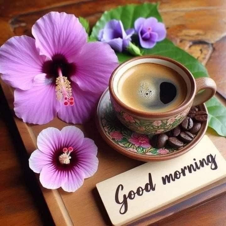 beautiful good morning images and quotes beautiful good morning images and quotes