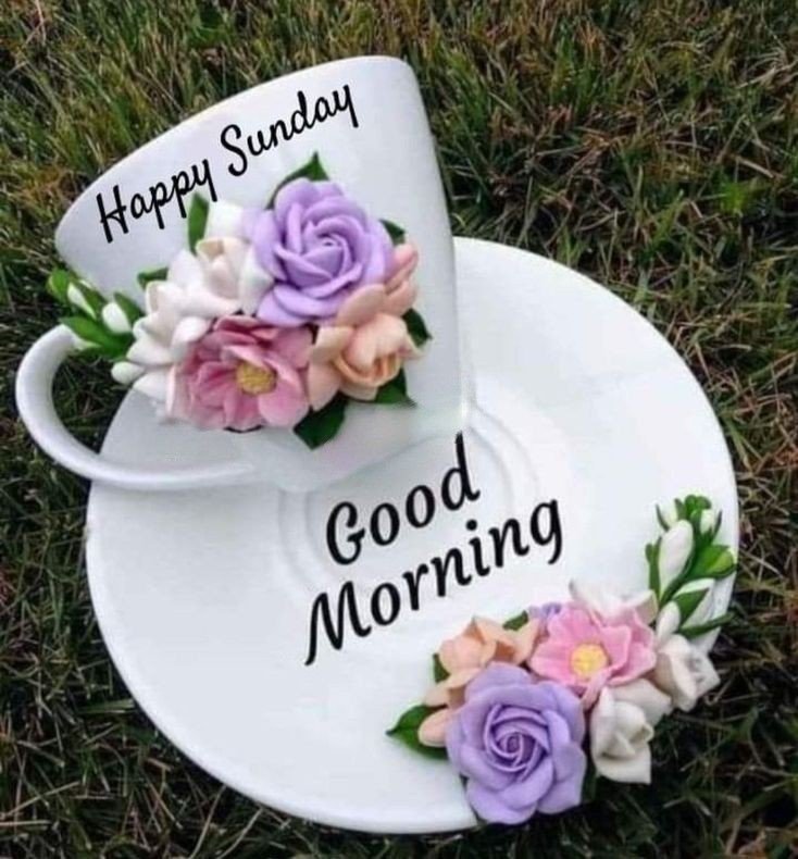 beautiful good morning in bengali images beautiful good morning in bengali images