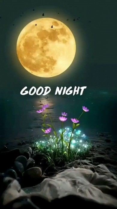 beautiful good night bed images beautiful good night bed images