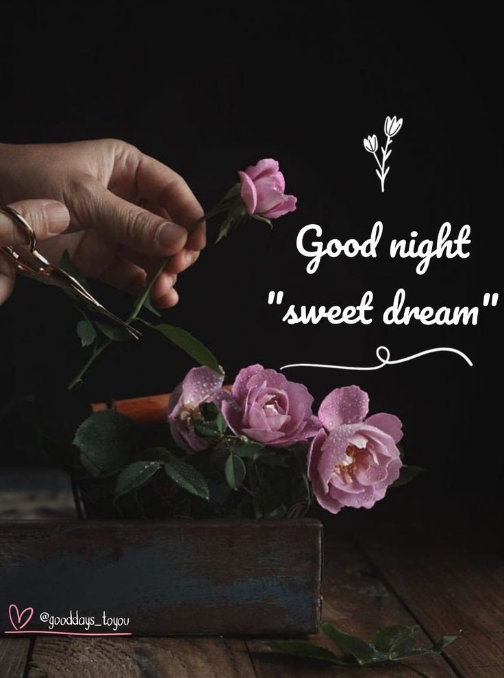 beautiful good night blessings images gif beautiful good night blessings images gif