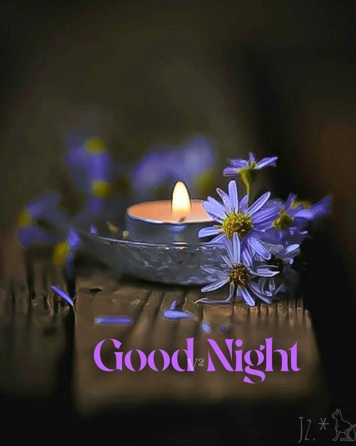 beautiful good night photo download for whatsapp beautiful good night photo download for whatsapp