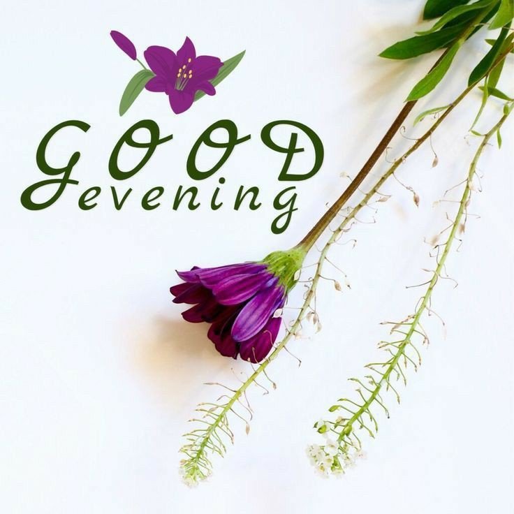 bengali good evening images bengali good evening images