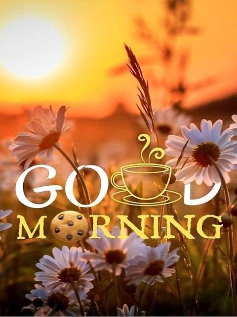 bengali good morning images bengali good morning images