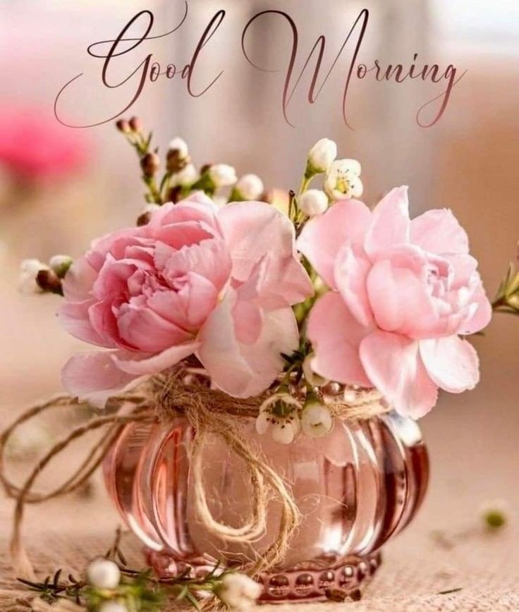 best couple good morning images best couple good morning images