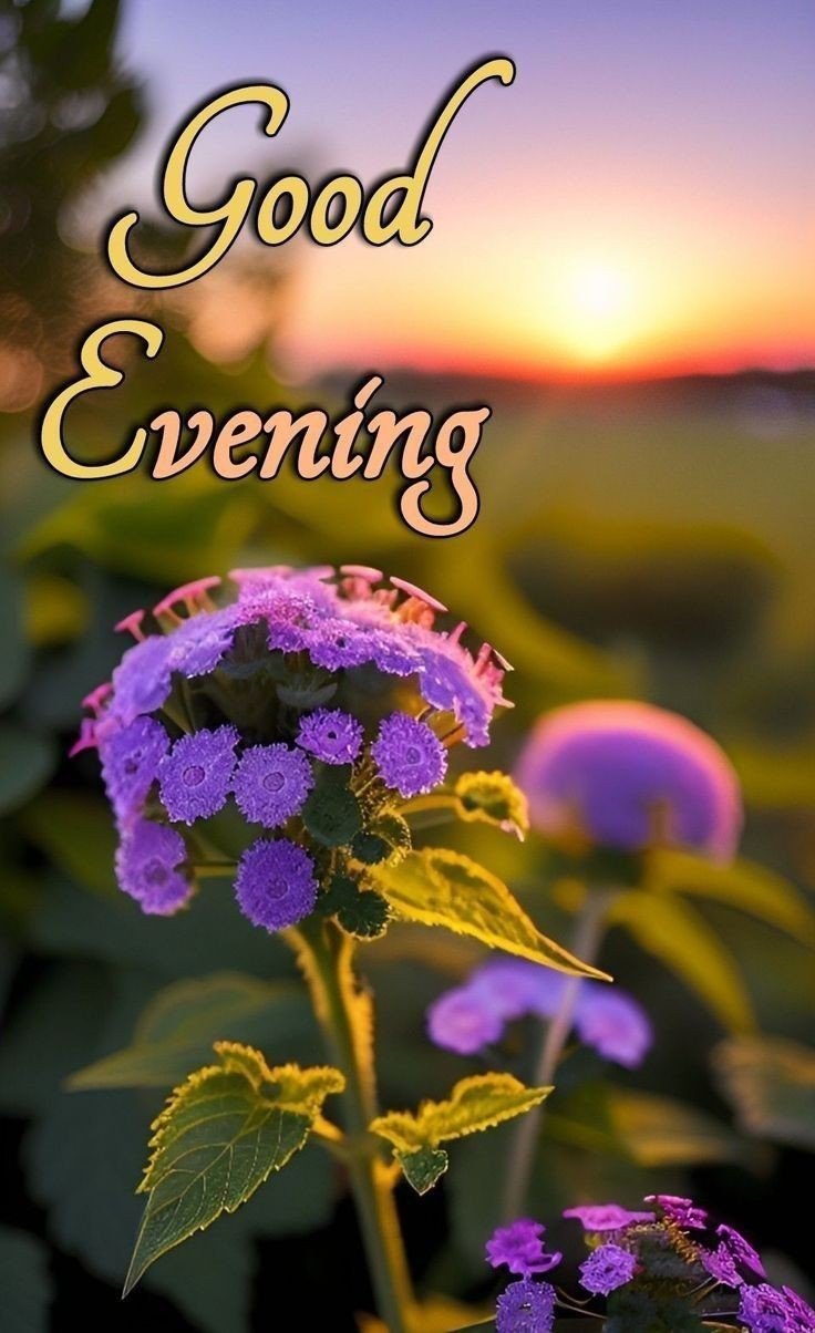 best good evening images with quotes best good evening images with quotes