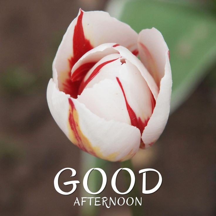 black good afternoon images black good afternoon images