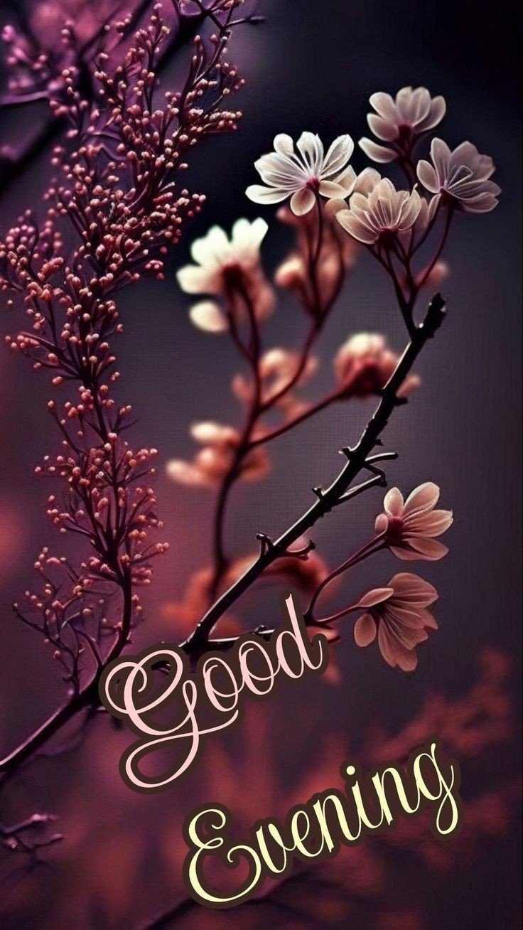 blessed good evening images blessed good evening images