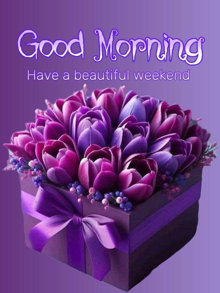 buddha good morning images buddha good morning images