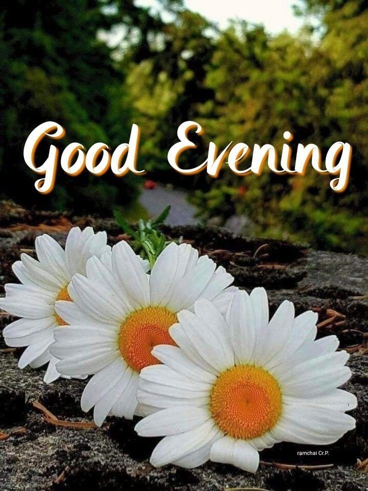 christian good evening images christian good evening images