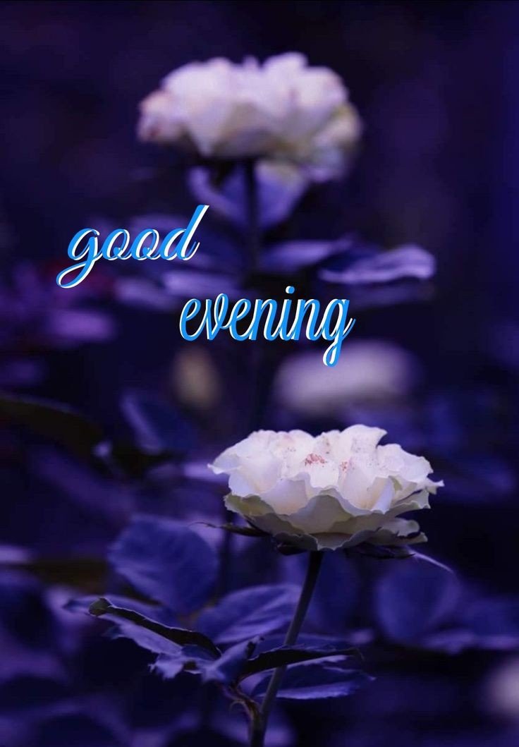 cloudy good evening images cloudy good evening images