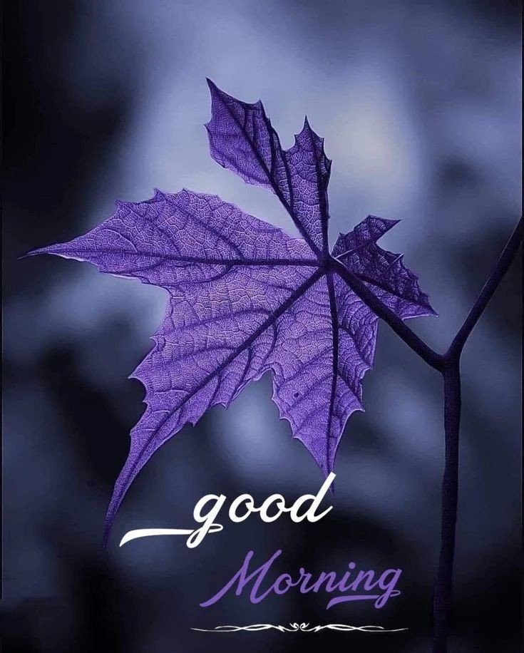 coffee good morning images coffee good morning images