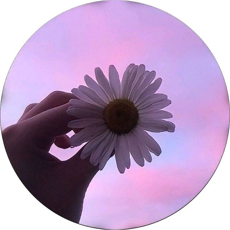 cool instagram pfp for boys