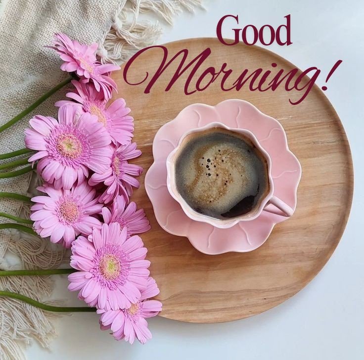 cute beautiful good morning images cute beautiful good morning images
