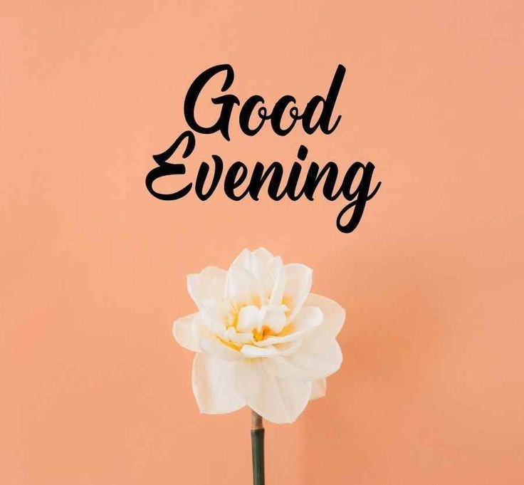 cute good evening images cute good evening images
