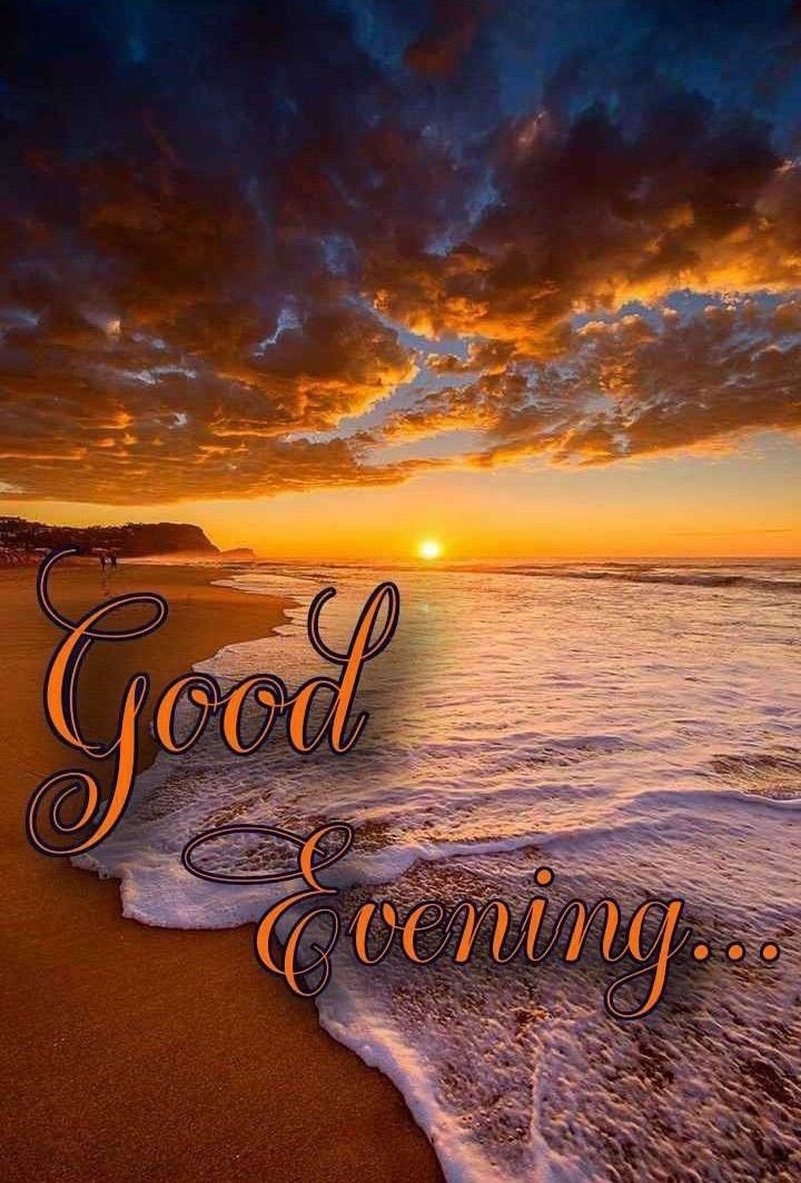 cute have a good evening images cute have a good evening images