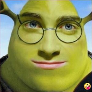[1099+] Meme Pfp, Images, Pics, Photos & Wallpapers (2026) - PhotosWeek.org