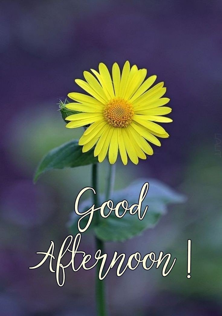 good afternoon image and quote good afternoon image and quote