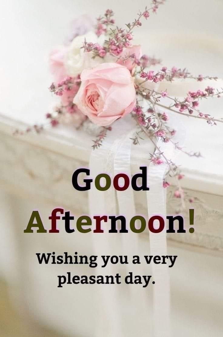 good afternoon images african american good afternoon images african american