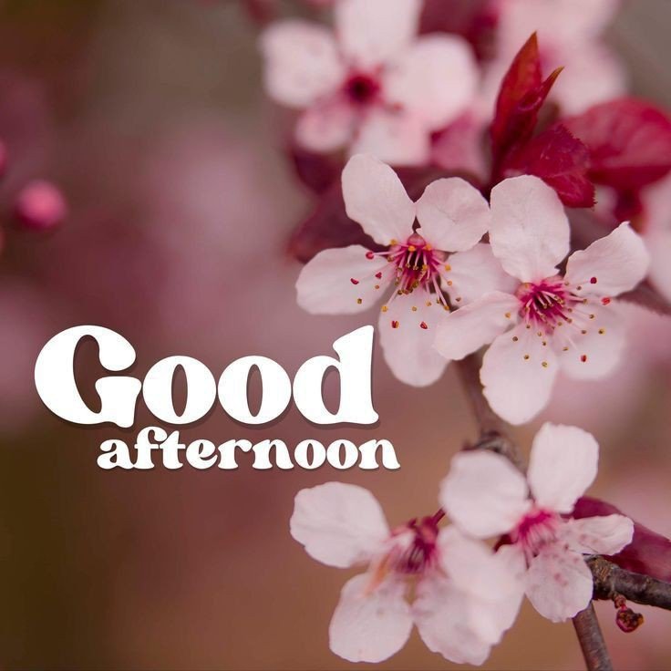 good afternoon images and blessings good afternoon images and blessings