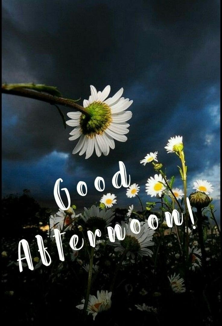 good afternoon images and messages good afternoon images and messages