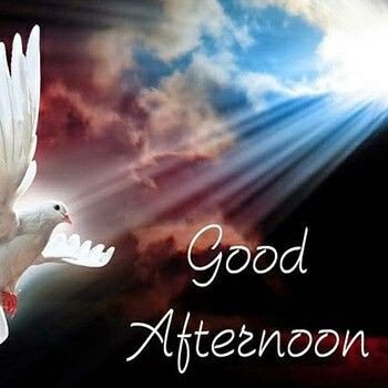 good afternoon images and quotes in hindi good afternoon images and quotes in hindi