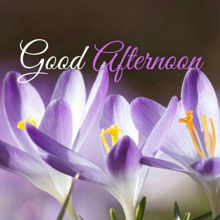 good afternoon images and quotes in hindi good afternoon images and quotes in hindi