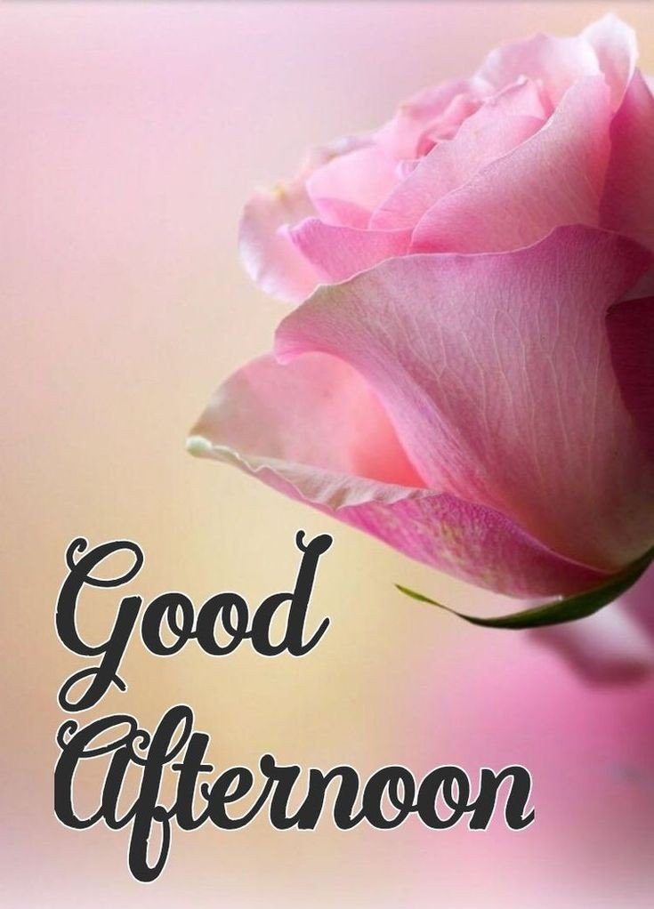 good afternoon images and quotes good afternoon images and quotes