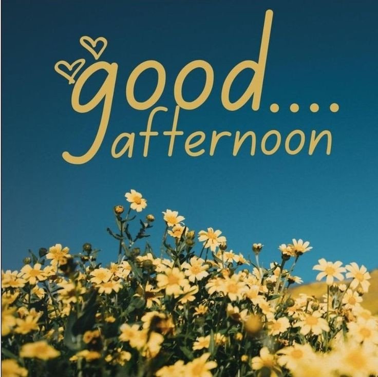good afternoon images animated good afternoon images animated