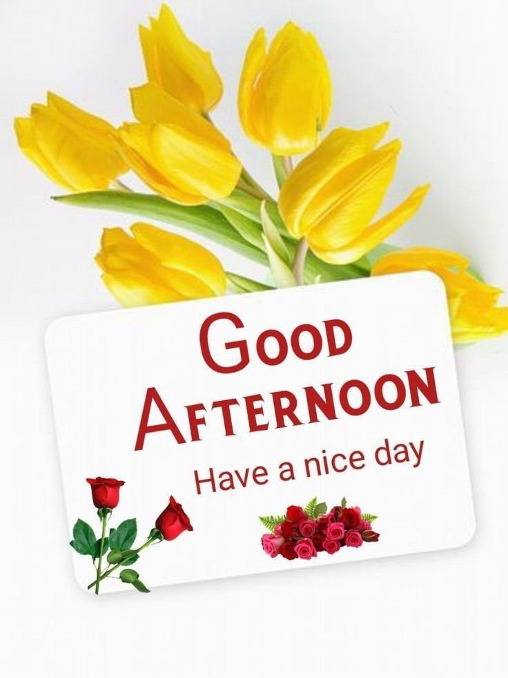 good afternoon images animated good afternoon images animated